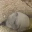 aykのプロフィール画像