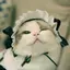 あやさのプロフィール画像
