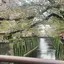 たくのプロフィール画像