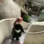 にょっきのプロフィール画像