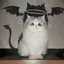 茶々のプロフィール画像