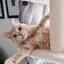 あやのプロフィール画像