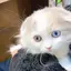 みーのプロフィール画像