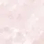 🐻のプロフィール画像