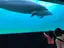 ムササビのプロフィール画像