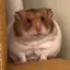 わらびもち。のプロフィール画像