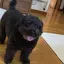 みそのプロフィール画像