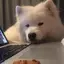 aiのプロフィール画像