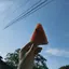 chiiのプロフィール画像