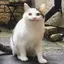ちちゃんのプロフィール画像