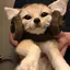 ひなのプロフィール画像