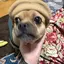 mimimiのプロフィール画像
