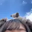 ひのプロフィール画像