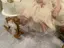 みずきのプロフィール画像