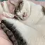 ちひろのプロフィール画像