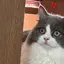 るなのプロフィール画像