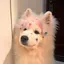 まるこのプロフィール画像
