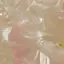 亜耶のプロフィール画像