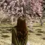 ゆりのプロフィール画像