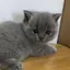 fchanのプロフィール画像