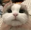 みのプロフィール画像