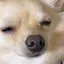 りんのプロフィール画像