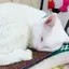 鈴木のプロフィール画像