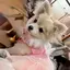 真美のプロフィール画像