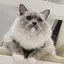 なみのプロフィール画像