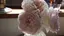 cocoのプロフィール画像