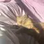 キョウコのプロフィール画像