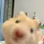 RIのプロフィール画像