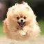 sのプロフィール画像