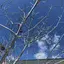 穂のプロフィール画像
