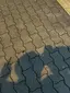 譽りんのプロフィール画像