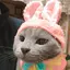 美紗のプロフィール画像