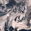 しゃくのプロフィール画像