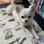 カナンのプロフィール画像