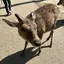 なつみのプロフィール画像