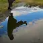 ゆうかのプロフィール画像