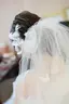 もえのプロフィール画像