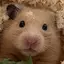 あうえのプロフィール画像