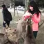まゆのプロフィール画像