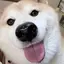 いつぽんのプロフィール画像