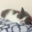 C.Iのプロフィール画像