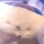 まこのプロフィール画像