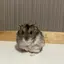 みのプロフィール画像