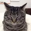 アヤのプロフィール画像
