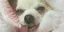 まみのプロフィール画像