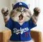 Dodgersのプロフィール画像